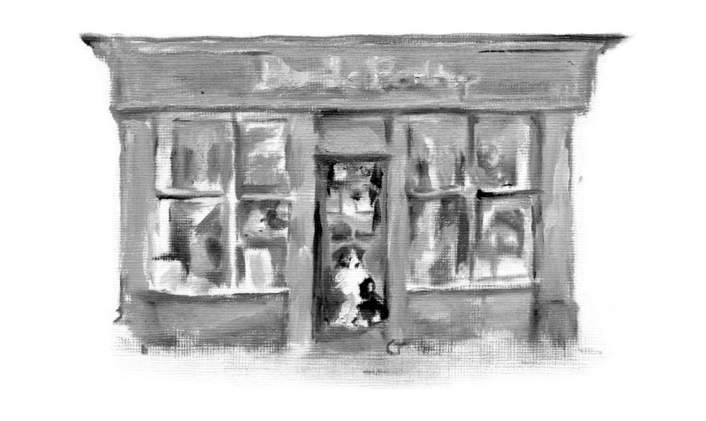Christian Tyler, The Last Bookshop in Europe - Slightly Foxed Issue 30