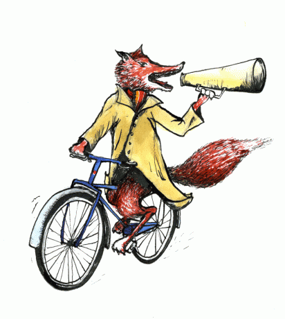 Cycling Fox