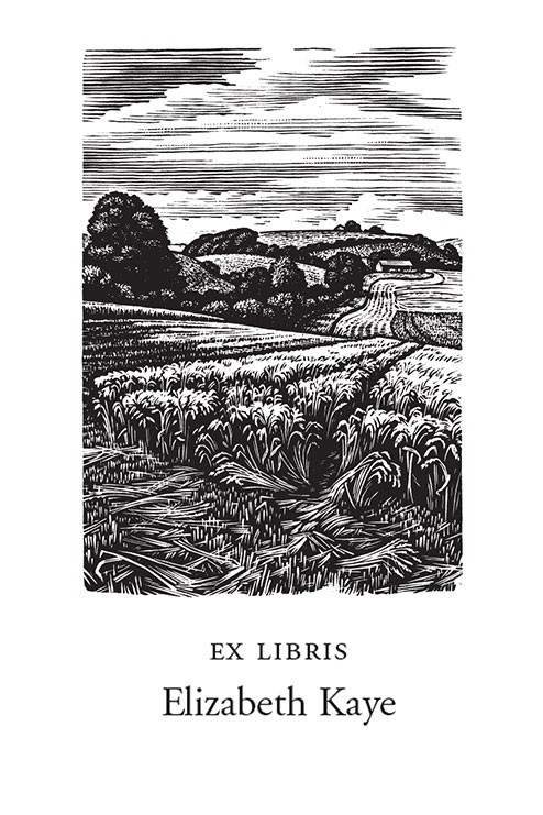 Coombe Bissett Down (500 Bookplates)