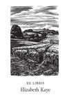 Howard Phipps Bookplates - Coombe Bissett Down - Wood Engraving