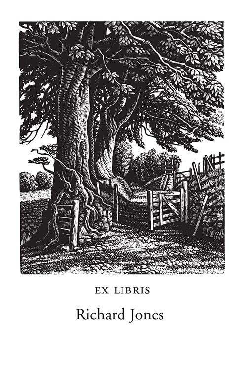A Green Lane, Exmoor (250 Bookplates)