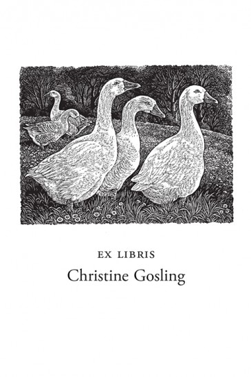 Sue Scullard Bookplates – Geese in a Meadow - Wood Engraving