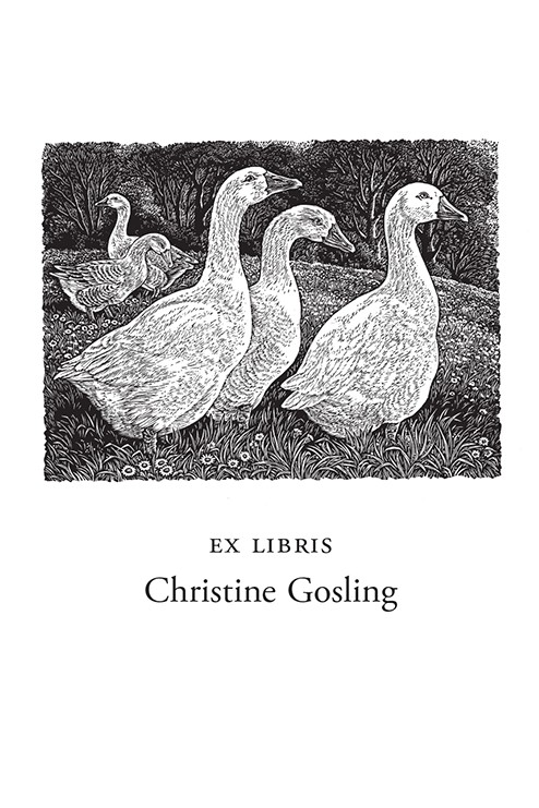 Geese in a Meadow (250 Bookplates)