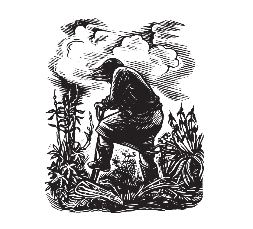 We love wood engraving at Slightly Foxed and in the printed magazine itself we have an occasional series to introduce the work of some of our favourite engravers.