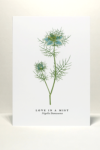 Love in a Mist Greetings Card