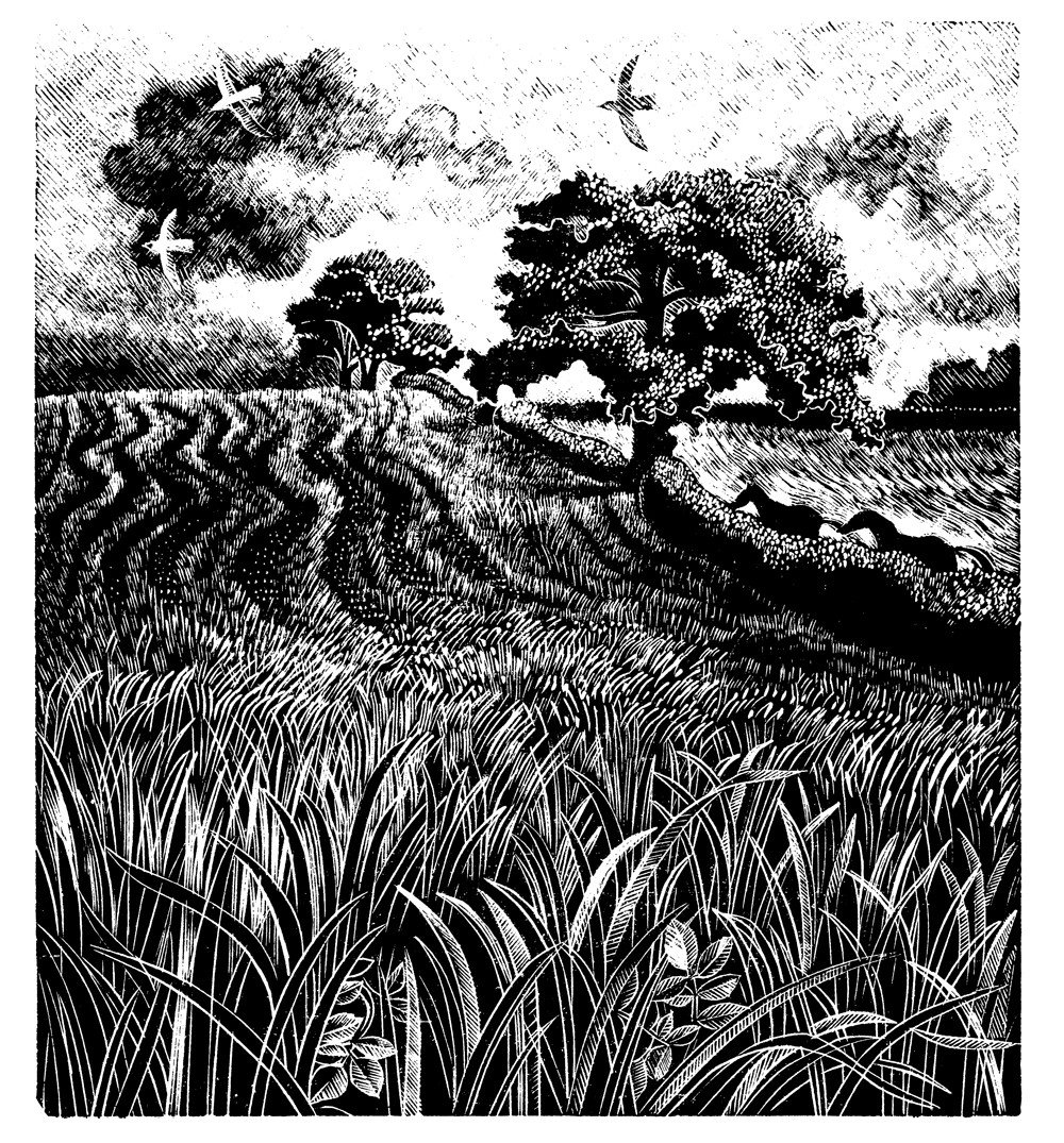 Wood engraving by Anne Hayward: Sarah Perry on John Moore, The Blue Field (Brensham Trilogy) - Slightly Foxed Issue 58