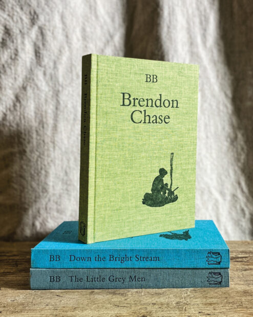 A Set of BB Books: The Little Grey Men, Down the Bright Stream & Brendon Chase