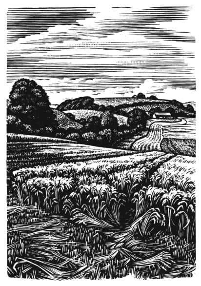 Bookplates - Coombe Bissett Down