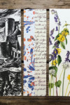 Thumbnail of Pack of Slightly Foxed Bookmarks