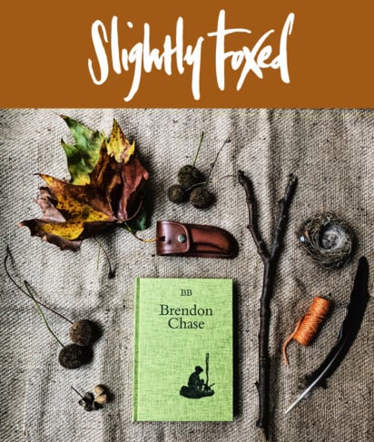 Slightly Foxed October News: Forest School - BB, Brendon Chase