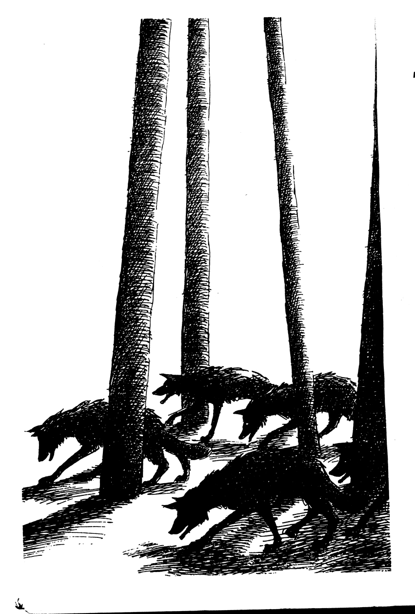 The Wolves Of Willoughby Chase Sequence The Witch of Clatteringshaws