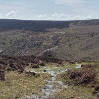 Dartmoor Streams | Slightly Foxed Editors’ Diary