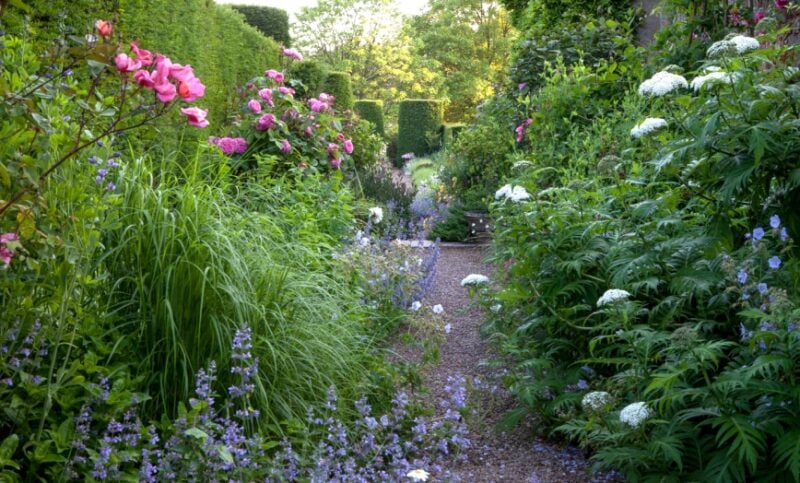 Cothay Manor garden | Slightly Foxed Editors’ Diary