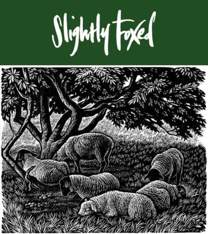 Shepherds‘ Lives | From the Slightly Foxed archives