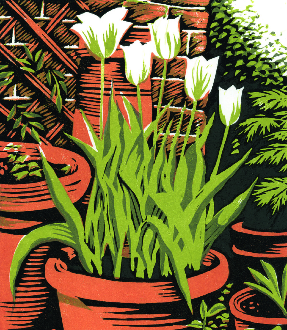 Slightly Foxed Issue 69, Niki Bowers, ‘“Spring Green” Tulips’