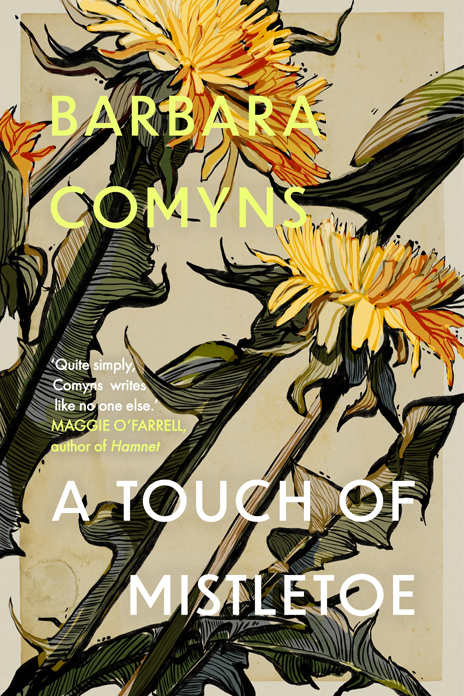 Barbara Comyns, A Touch of Mistletoe