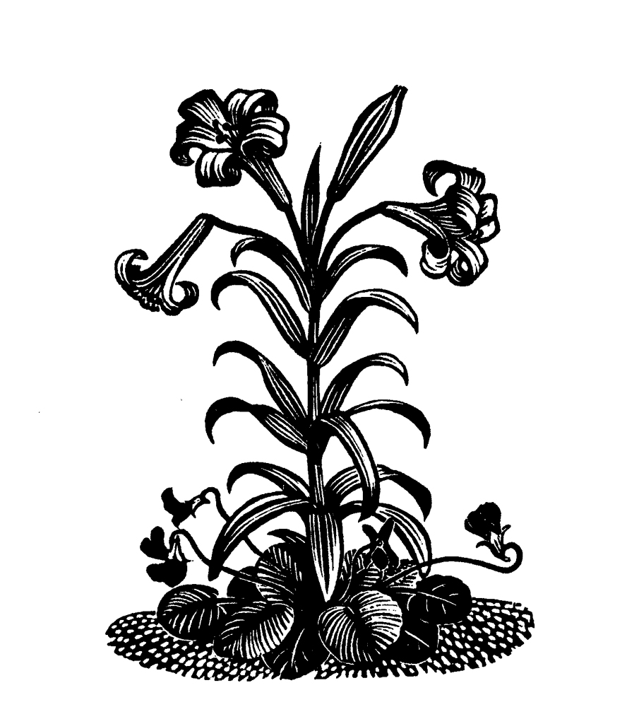 Reynolds Stone wood engraving, Rachel Kelly-on the consolation of poetry, SF Issue 71
