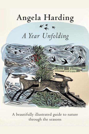 Angela Harding, A Year Unfolding: A printmaker’s view