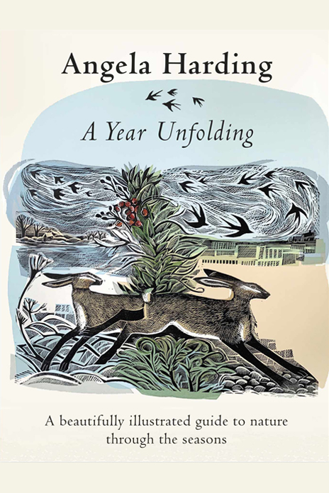 A Year Unfolding