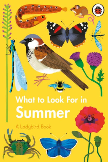 What to Look For in Summer | A Ladybird Book