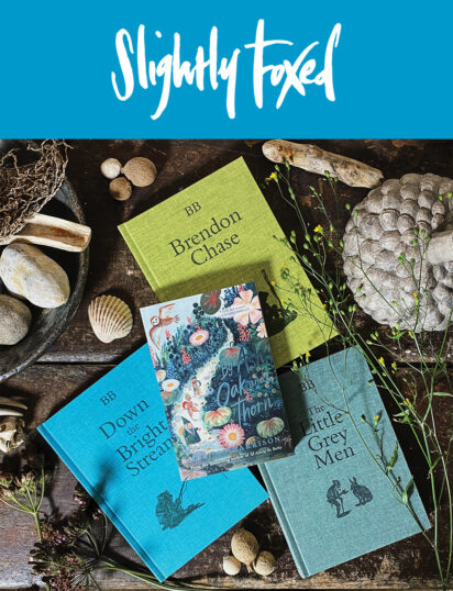 Inspire a love of reading | Slightly Foxed Cubs