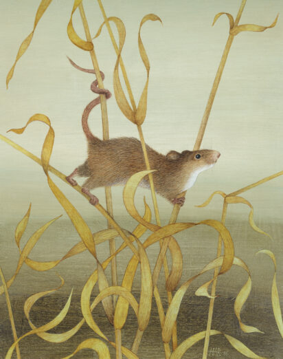 Cover Artist: Slightly Foxed Issue 75, Harriet Bane, ‘Harvest Mouse’