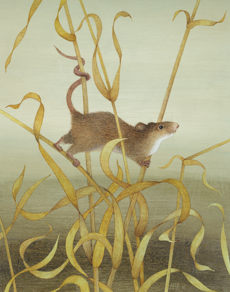 Slightly Foxed Issue 75, Harriet Bane, ‘Harvest Mouse’