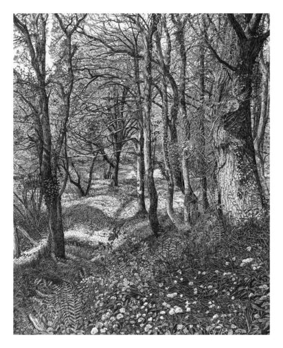 Sarah Woolfenden, ‘Garlic Wood’, Isabel Lloyd on books about trees, Slightly Foxed 75