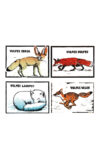 Pack of Slightly Foxed Vulpes Postcards