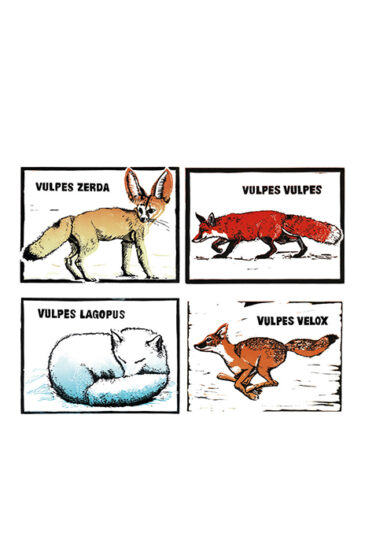 Pack of Slightly Foxed Vulpes Postcards, James Nunn - Slightly Foxed 20th Anniversary
