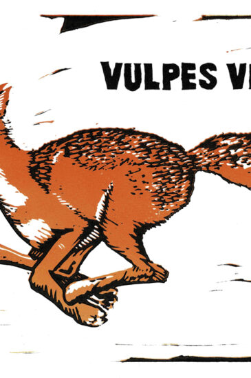 James Nunn, Swift Fox: Vulpes Velox - Slightly Foxed Spring 2023
