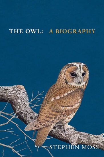 Stephen Moss, The Owl
