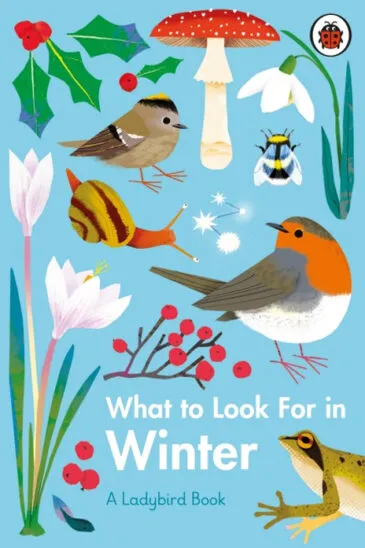 What to Look For in Winter | A Ladybird Book