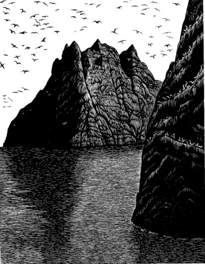 Maggie Fergusson on Karin Altenberg, Island of Wings, SF Issue 73 - Hilary Paynter, ‘St Kilda’, wood engraving