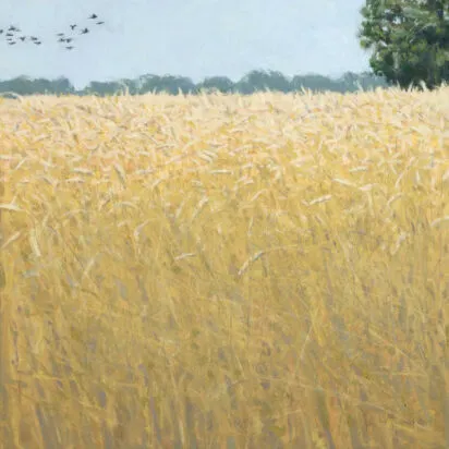Slightly Foxed Issue 78, Ron Kingswood, ‘Wheat Field’